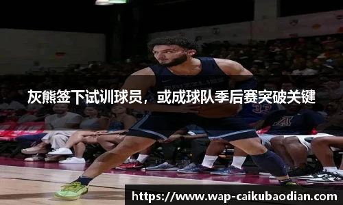 灰熊签下试训球员,或成球队季后赛突破关键